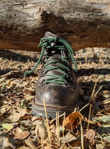 A boot with laces in front of a log.